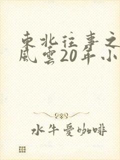 东北往事之黑道风云20年小说