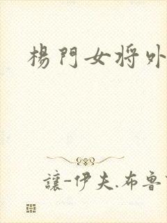 杨门女将外传