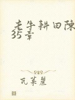 老牛耕田陈雪435章