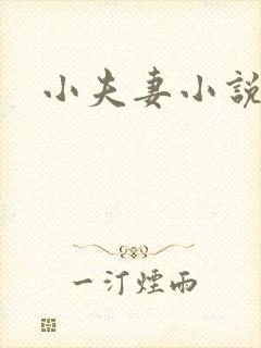 小夫妻小说
