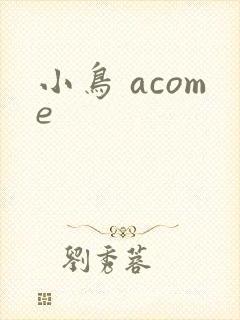 小鸟 acome