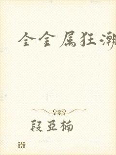 全金属狂潮小说