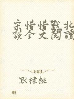 宋惜惜战北望小说全文阅读