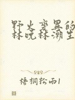 野火变异的父爱林晚林潮生