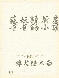 苏妖精厨房爹爹爸爸的小说