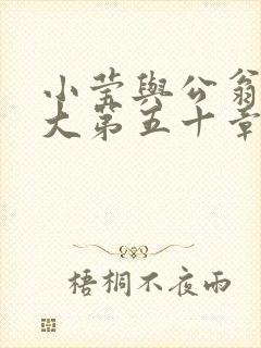 小莹与公翁熄粗大第五十章