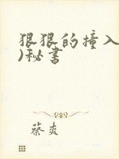 狠狠的撞入(h)秘书