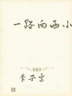一路向西小说