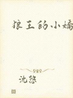 狼王的小娇妻