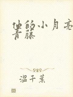 他的小月亮by青藤