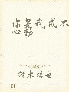 你是我戒不掉的心动