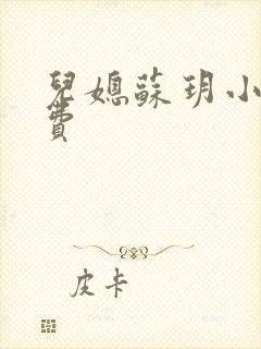 儿媳苏玥小说免费