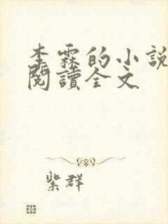 李霖的小说免费阅读全文