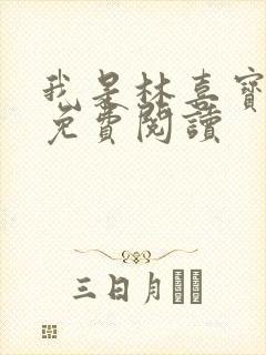 我是林喜宝小说免费阅读