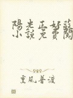 阳光正好苏玥玥小说免费阅读