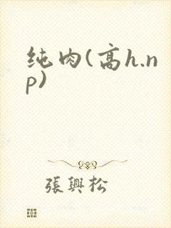 纯肉(高h.np)