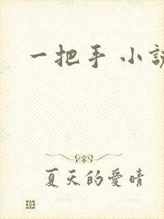 一把手 小说