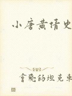 小唐黄倩史