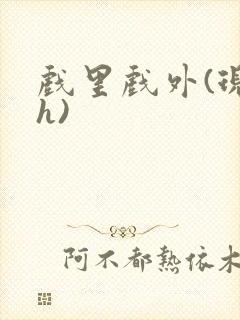 戏里戏外(现场h)