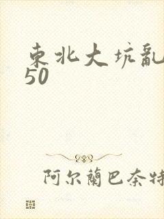 东北大坑乱1—50
