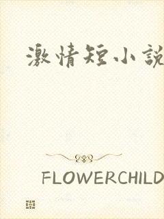 激情短小说