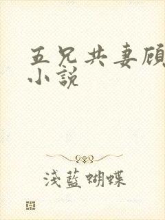 五兄共妻顾心儿小说