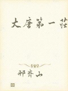大唐第一庄
