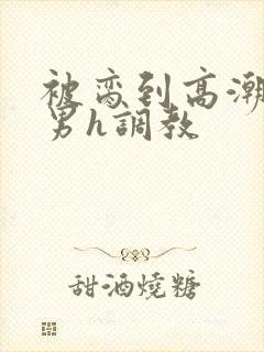 被脔到高潮的直男h调教