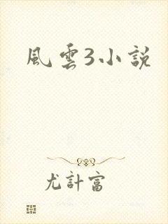 风云3小说