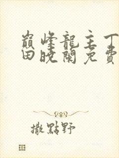 巅峰龙主丁长顺田晓兰免费阅读