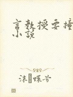 言教授要撞坏了小说