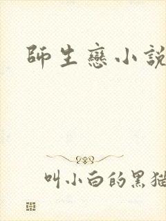 师生恋小说
