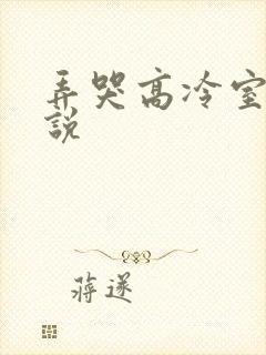 弄哭高冷室友小说