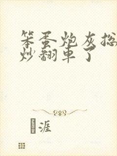 笨蛋炮灰总被爆炒翻车了