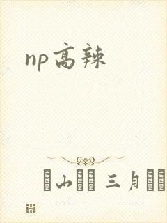 np高辣