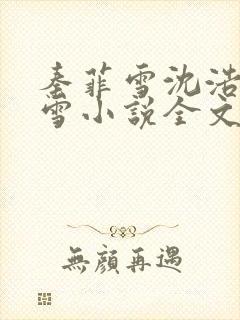 秦菲雪沈浩秦菲雪小说全文免费阅读求书