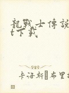 龙战士传说txt下载