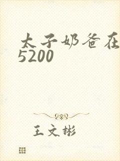 太子奶爸在花都5200