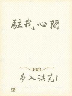 驻我心间
