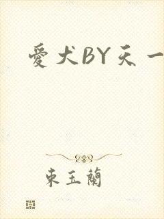 爱犬BY天一