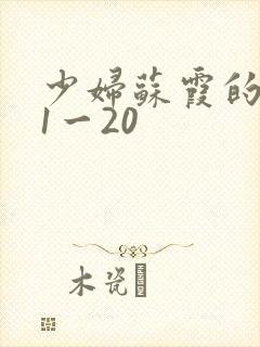 少妇苏霞的沉沦1一20