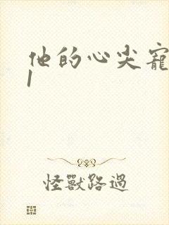 他的心尖宠1v1