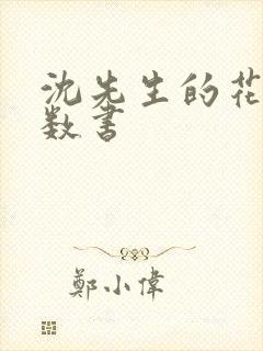 沈先生的花式调数书