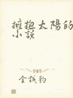 拥抱太阳的月亮小说