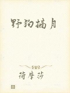 野狗摘月