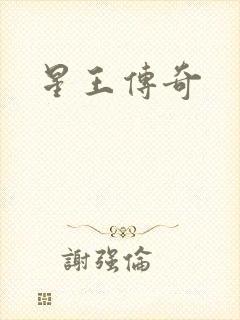 星王传奇