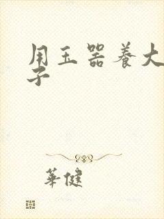 用玉器养大的皇子