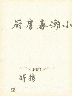 厨房春潮小说