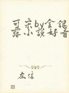 可宋by金银花露小说好看吗