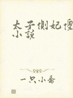 太子侧妃傻乎乎小说